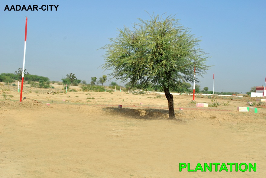 aadaar city